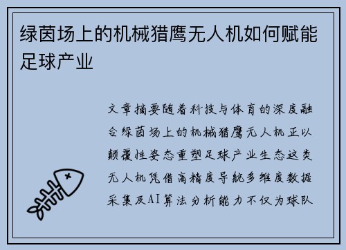 绿茵场上的机械猎鹰无人机如何赋能足球产业